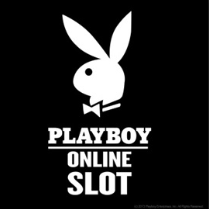 Playboy Microgaming